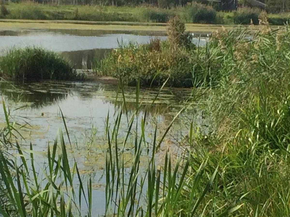Hoeve Cornelia Berkel en Rodenrijs Exteriör bild